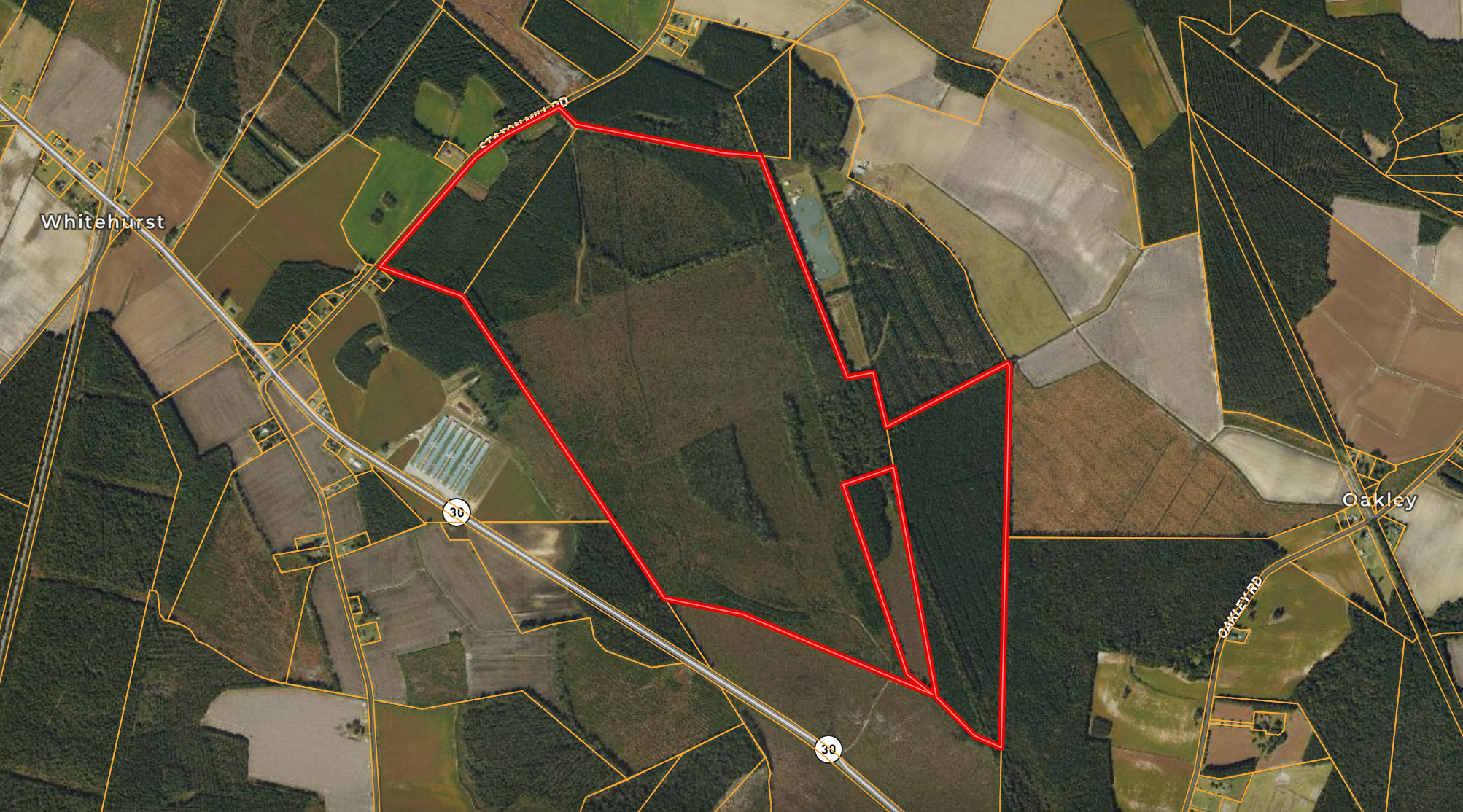 470-AC Prime Hunting Land for Sale in Pitt County, NC